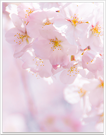 写真2