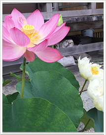 写真4
