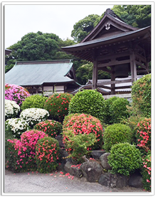 光明寺の風景10